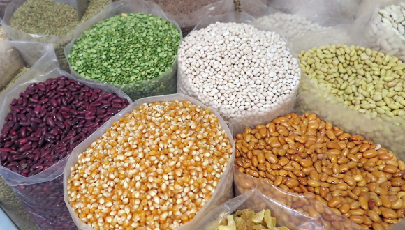 Analysis and Forecast of the Global Price of Agricultural Commodities