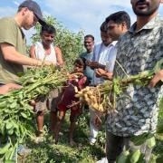 אגרי-גורו: שימוש בוואטסאפ ובבינה מלאכותית מסייע לחקלאים בהודו אגרי-גורו: שימוש בוואטסאפ ובבינה מלאכותית מסייע לחקלאים בהודו